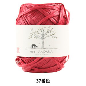 | wGRA_ 37ԐFx Hamanaka n}iJ