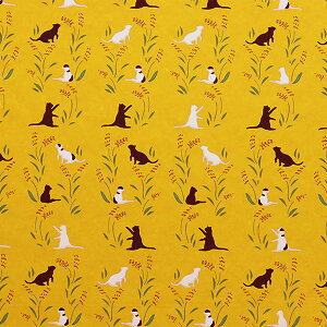 ܂莆 ㎆ wFT l nekoA-3x