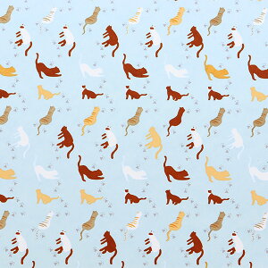 ܂莆 ㎆ wFT l nekoB-2x