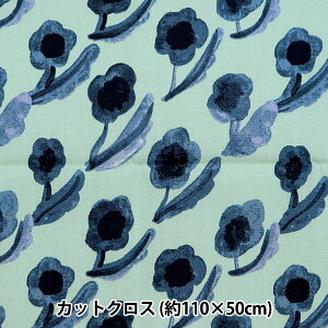 n wkippis (LbsX) V[`O JbgNX 110×50cm ȉ ANA KPSK-75Bx