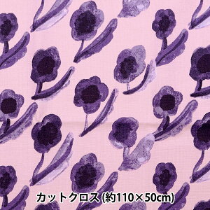 n wkippis (LbsX) V[`O JbgNX 110×50cm ȉ sN KPSK-75Cx