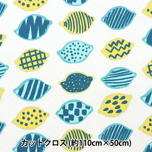 n wkippis (LbsX) IbNX JbgNX 108cm×50cm  CgO[ KPOK-58Ax