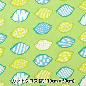 n wkippis (LbsX) IbNX JbgNX 108cm×50cm  CO[ KPOK-58Bx