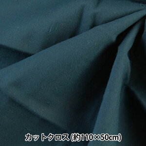 n wWK[[ JbgNX 110cm×50cm lCr[ WG401x