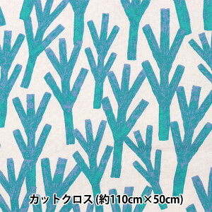 n wkippis (LbsX) IbNX JbgNX 108cm×50cm } ^[RCY KPOK-59Bx