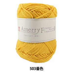 H~ю wAmerry F (A[Gt) () 503ԐFx Hamanaka n}iJ