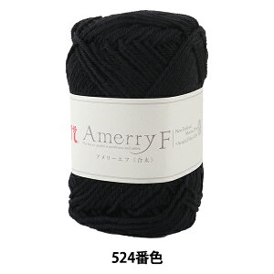 H~ю wAmerry F (A[Gt) () 524ԐFx Hamanaka n}iJ