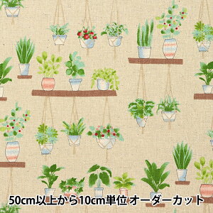 y5z n wȖLoX FUWARI v^[ x[W 7700-6Bx