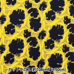 n wkippis (LbsX) IbNX JbgNX 110×50cm g[ C KPOK-76Bx