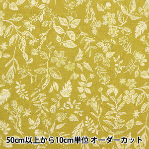 y5z n wȖV[`O PF{^jJ CG[ YGA-59010-1Bx KOKKA RbJ