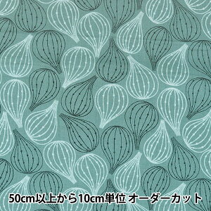 y5z n wTAYUTOU ȖV[`O FIG O[ EKX-5120-3Cx KOKKA RbJ