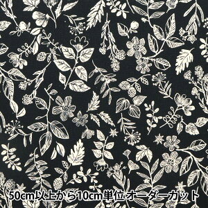 y5z n wȖV[`O PF{^jJ ubN YGA-59010-1Dx KOKKA RbJ