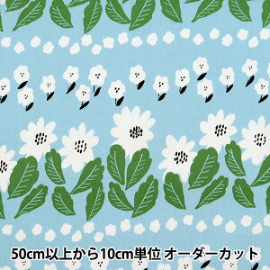 y5z n wkippis (LbsX) IbNX s̃}[Kbg F KPO-69Ax