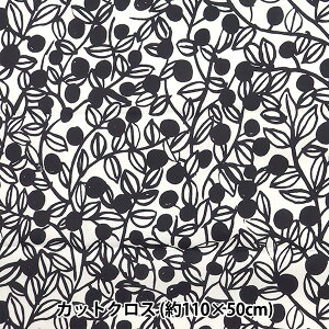 n wkippis (LbsX) IbNX JbgNX 108×50cm u[x[ zCg KPOK-50Ax