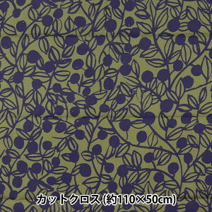 n wkippis (LbsX) IbNX JbgNX 108×50cm u[x[ J[L KPOK-50Bx