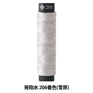 hイ wɂ A 206ԐF (ጴ)x LECIEN VA cosmo RX