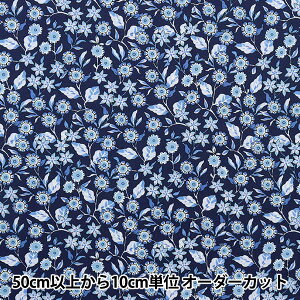 y5z n wLIBERTY oeBvg ^i[ CBE[Y 1223104-P23Cx oeBWp