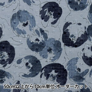 y5z n wXm[Jbghr[ ʉԕ O[×lCr[ YQA-11070-1Bx KOKKA RbJ