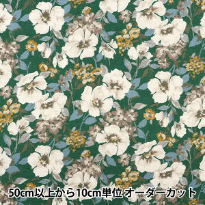 y5z n wȖRpX  O[ NGA-71040-42Bx KOKKA RbJ