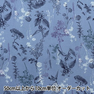 y5z n wȖV[`O {^jJ u[ YGA-59010-2Dx KOKKA RbJ