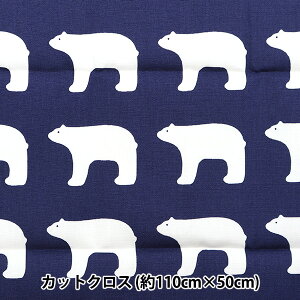 n wkippis (LbsX) IbNX JbgNX 108×50cm VN} lCr[ KPOK-06Dx