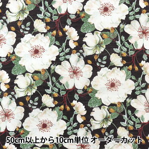 y5z n woeBEt@ubNX Z[ h[Zbg[Y DC30096-DSx Liberty Japan oeBWp