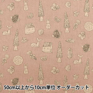 y5z n w悵q ȖLoX 悵q̐X EKX-1310-1Cx KOKKA RbJ