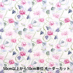 y5z n wLIBERTY oeBvg ^i[ t[gEAEFC 3633127-23CTx Liberty Japan oeBWp