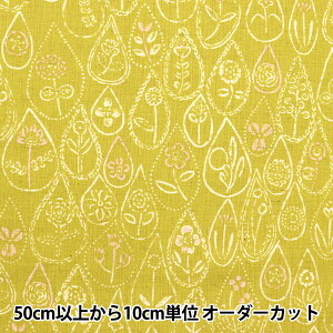 y5z n w悵q ȖV[`O Ԃ̉J EKX-1320-1Cx KOKKA RbJ