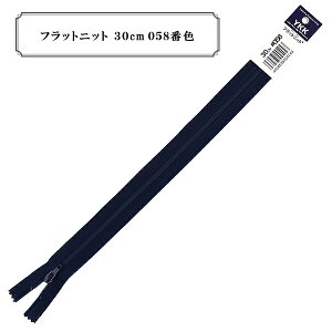 t@Xi[ wtbgjbg 30cm 058ԐF DAx YKK CP[P[