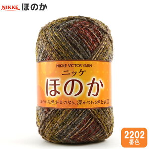 H~ю wق̂ 2202ԐFx NIKKEVICTOR jbPrN^[ yGfځz