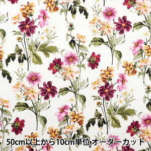 y5z n wLIBERTY oeBvg ^i[ o[oERBg 3633191-23BTx Liberty Japan oeBWp