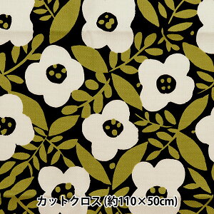 n wkippis (LbsX) IbNX JbgNX 110×50cm C~ ItzCg×ubN KPOK-74Ax