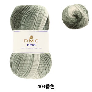 H~ю wuI 403ԐFx DMC fB[GV[