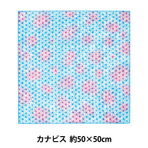 ^I wnunosai (kmTC) NS607 JirX nJ` 50×50cmx