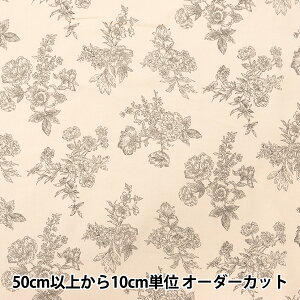 y5z n w21WR[fCvg ԕ x[W AP45801-2Ax