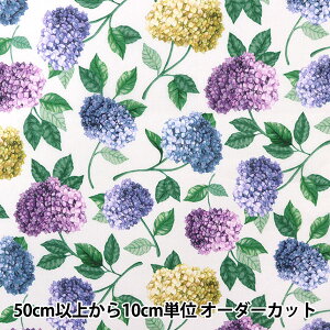 y5z n woeBEt@ubNX Z[ TtH[NvCY DC30104-DSx Liberty Japan oeBWp