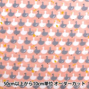 y5z n w_uK[[  Aq R[ LGA-41060-1Bx KOKKA RbJ