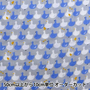 y5z n w_uK[[  Aq O[ LGA-41060-1Dx KOKKA RbJ