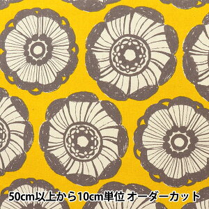 y5z n wIbNX JAMBO PFԕ CG[ YGA-49030-2Bx KOKKA RbJ