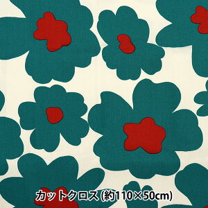 n wcC kԕ 110×50cmJbgNX C-KTS3676-Ax