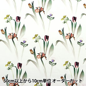 y5z n wLIBERTY oeBvg ^i[ q[OEt[ 3633105-23ATx oeBWp