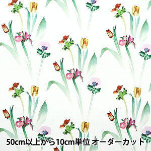 y5z n wLIBERTY oeBvg ^i[ q[OEt[ 3633105-23BTx oeBWp