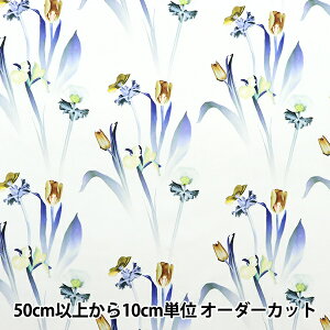 y5z n wLIBERTY oeBvg ^i[ q[OEt[ 3633105-23CTx oeBWp