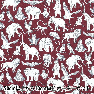 y5z n woeBEt@ubNX sJf[|v A[T[YA[N DC29893L111CPx Liberty Japan oeBWp