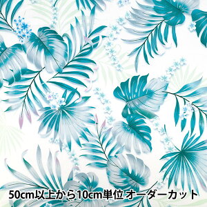 �y����5����z ���n�w�A�C�����h�X�^�C�� �L���V�[�}�� �V���[�e�B���O �O���[�� 02602-2GR�x