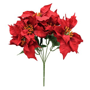  VNt[ w|CZ`AubV×5 bh XE8185x