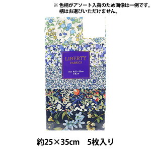 n wLIBERTY oeBvg JbgNX 5Zbg A\[gu[ C-LIBERTY5BL2xLiberty Japan oeBWp