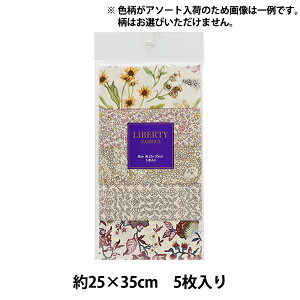 n wLIBERTY oeBvg JbgNX 5Zbg A\[gx[W C-LIBERTY5BE2xLiberty Japan oeBWp