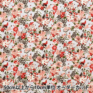 y5z n woeBEt@ubNX ^i[ p[[ENX}X [V[EPbg 3630181P24Bx Liberty Japan oeBWp
